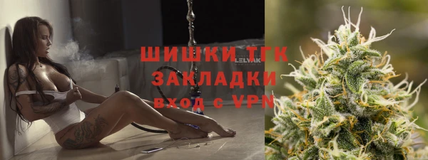 твердый Елизово