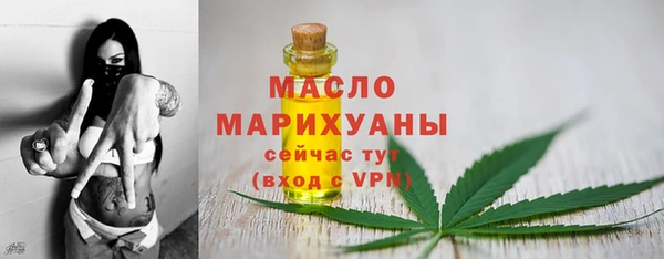 прущие крисы Ельня