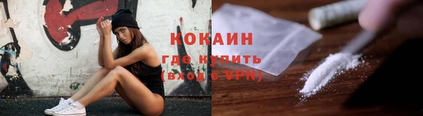 прущие крисы Ельня