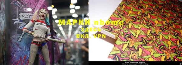 стаф Заводоуковск