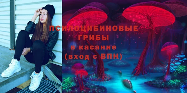 твердый Елизово