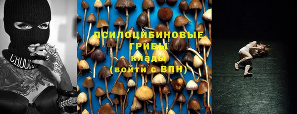 прущие крисы Ельня