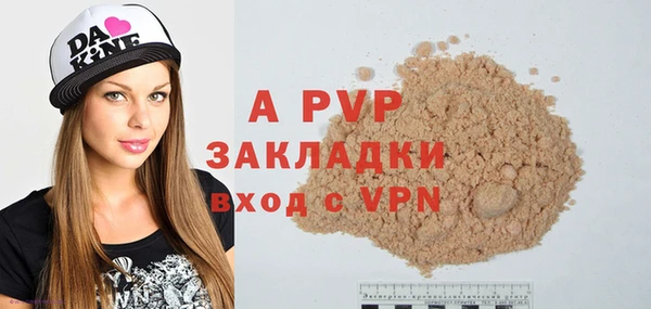 прущие крисы Ельня