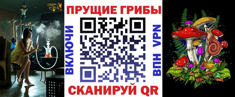 Псилоцибиновые грибы мицелий  Купить где  Лодейное Поле 